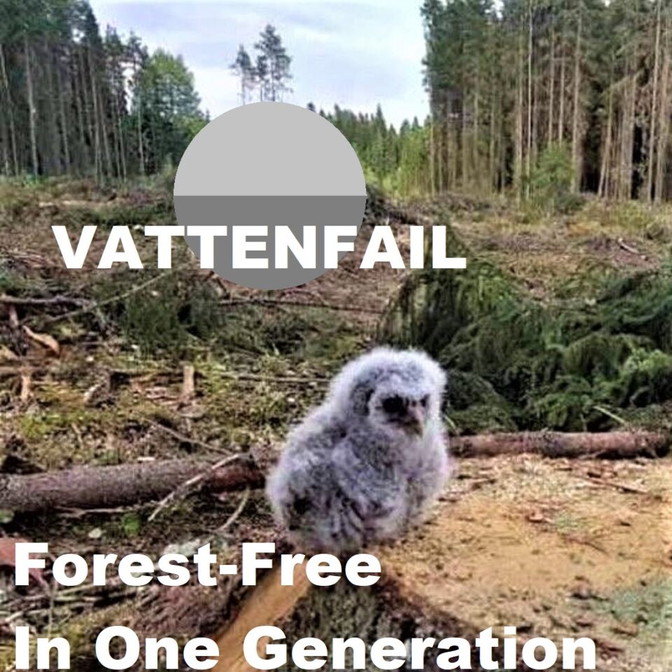 Vattenfall response to open letter – April 22 2022