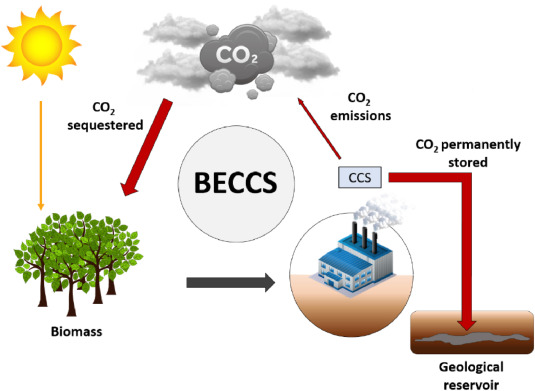 BECCS, een averechtse klimaatoplossing en valse belofte