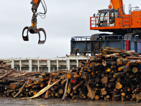 Nederland nog steeds koploper bossen verbranden, onder de noemer biomassa