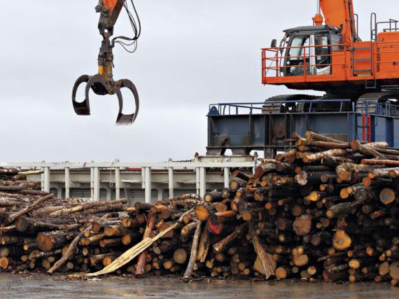 Ondanks verkiezingsbeloften is Nederland nog steeds koploper bossen verbranden, onder de noemer biomassa (BNNVARA)