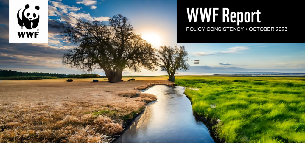 Policy consistency for climate – The EU case