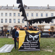 ICARUS art action in Brussels carried out by International Coalition Forest and Nature Action Groups