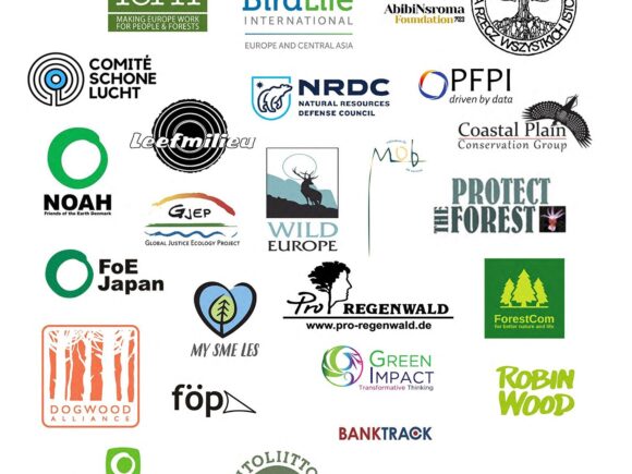 Brandbrief internationale bosgroepen aan Wopke Hoekstra & COP28