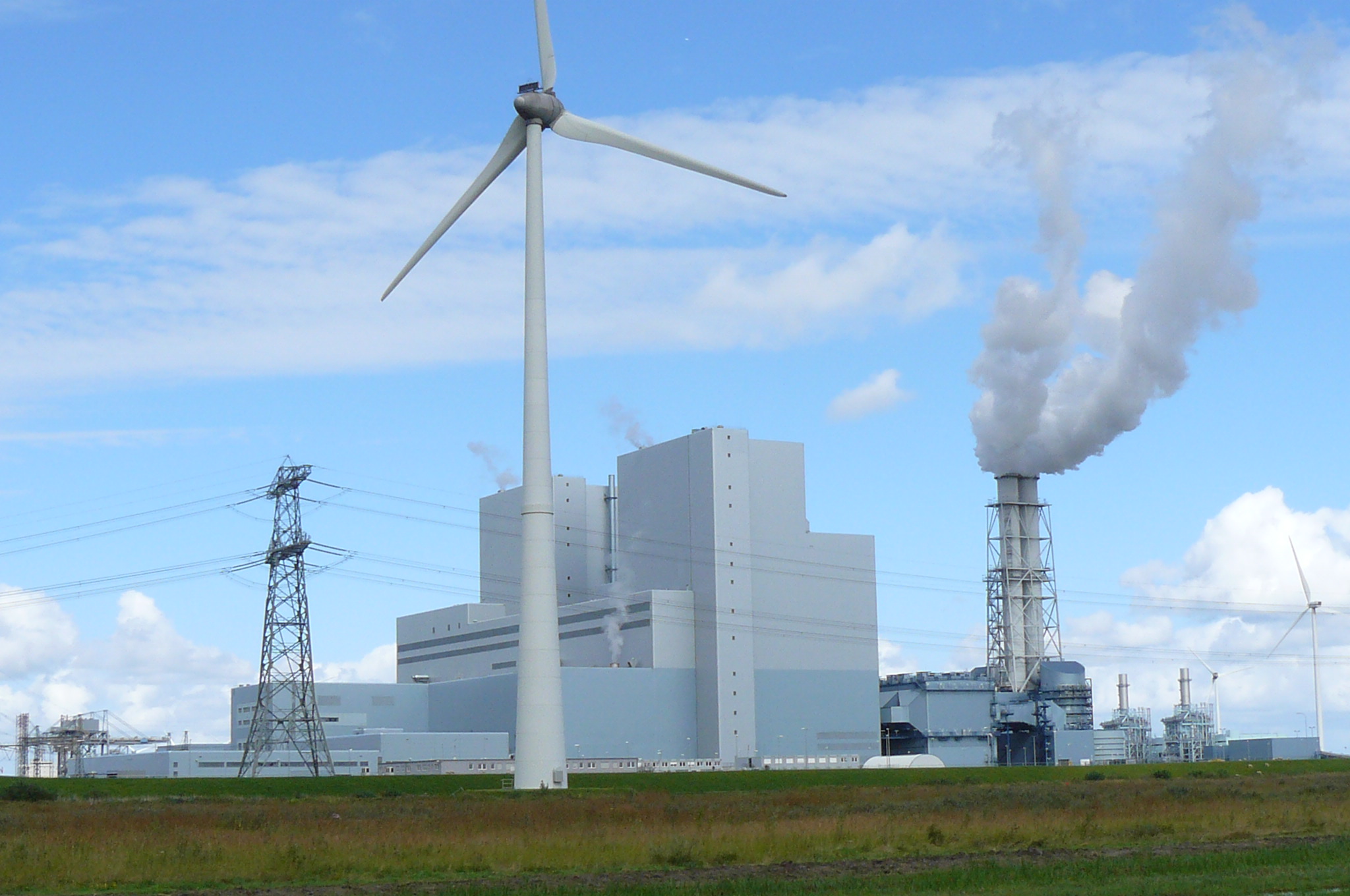 RWE Eemshaven power plant runs entirely on biomass is disastrous - Comite  Schone Lucht