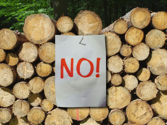 Comité Schone Lucht zwaar teleurgesteld met verwerpen biomassamoties: ‘Geen klimaatknollen voor citroenen meer’’